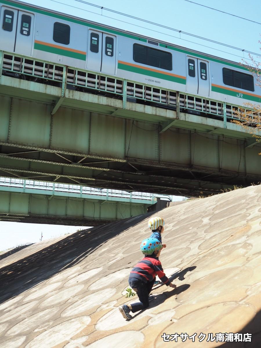 お花見　花見　子どもと　親子　サイクリング　ポタリング　荒川サイクリングロード　荒サイ　北区　戸田橋　埼玉　戸田　親切　丁寧　セオ　セオサイクル　南浦和　戸田公園