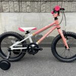 ヨツバサイクル / ゼロストライプ16　さくらブルーム